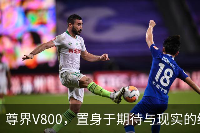 尊界V800，置身于期待与现实的缝隙中